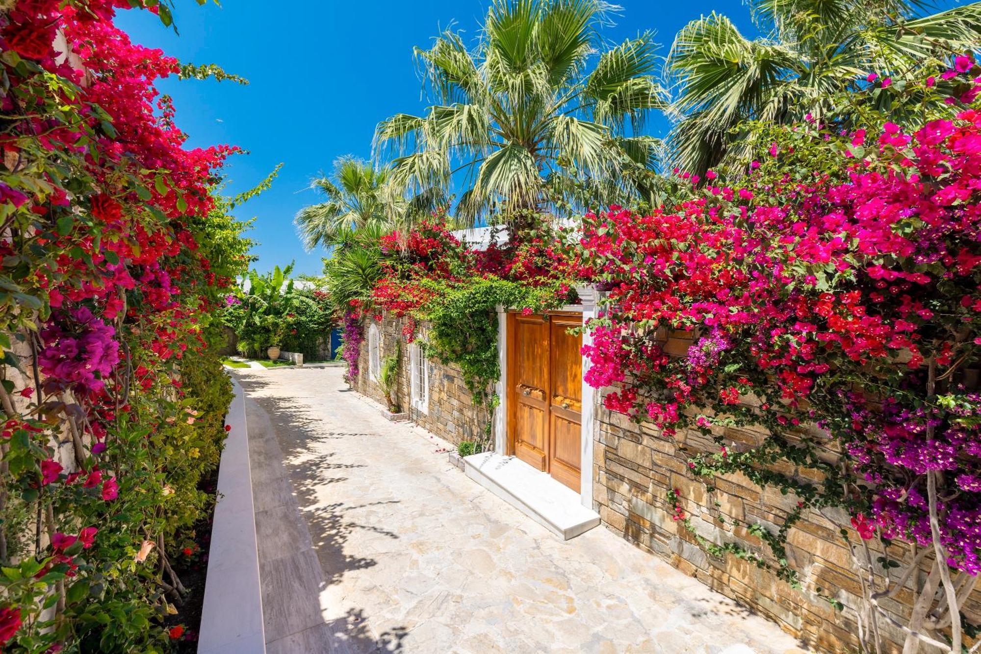 Porto Zante Villas And Spa تراغاكي المظهر الخارجي الصورة